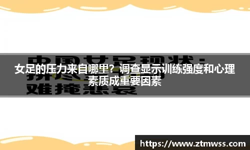 OB电竞官网