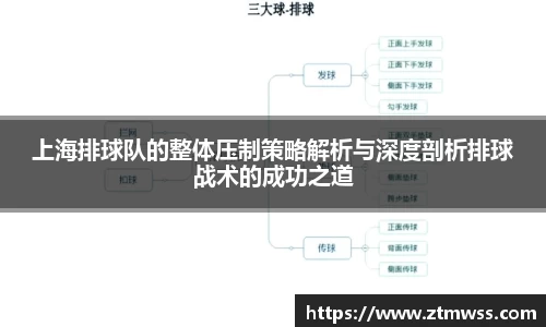 上海排球队的整体压制策略解析与深度剖析排球战术的成功之道